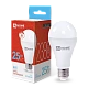 Лампа светодиодная LED-A65-VC 25Вт 230В Е27 6500К ХОЛОДНЫЙ 2380Лм IN HOME